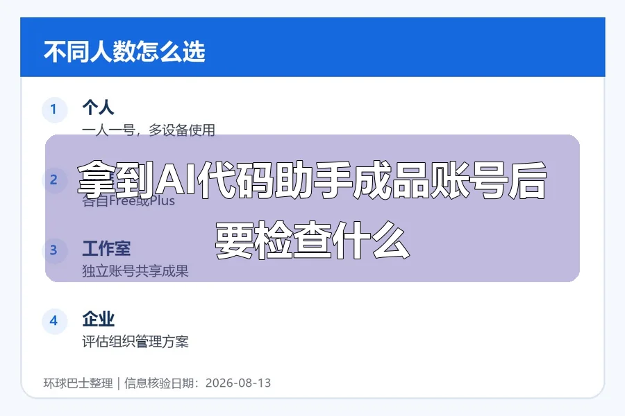 拿到AI代码助手成品账号后要检查什么