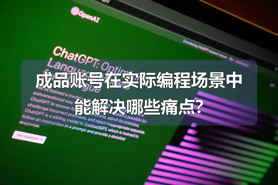成品账号在实际编程场景中能解决哪些痛点?
